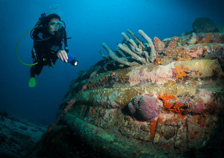 Top Diving Spots in Bonaire for Advanced Scuba Divers